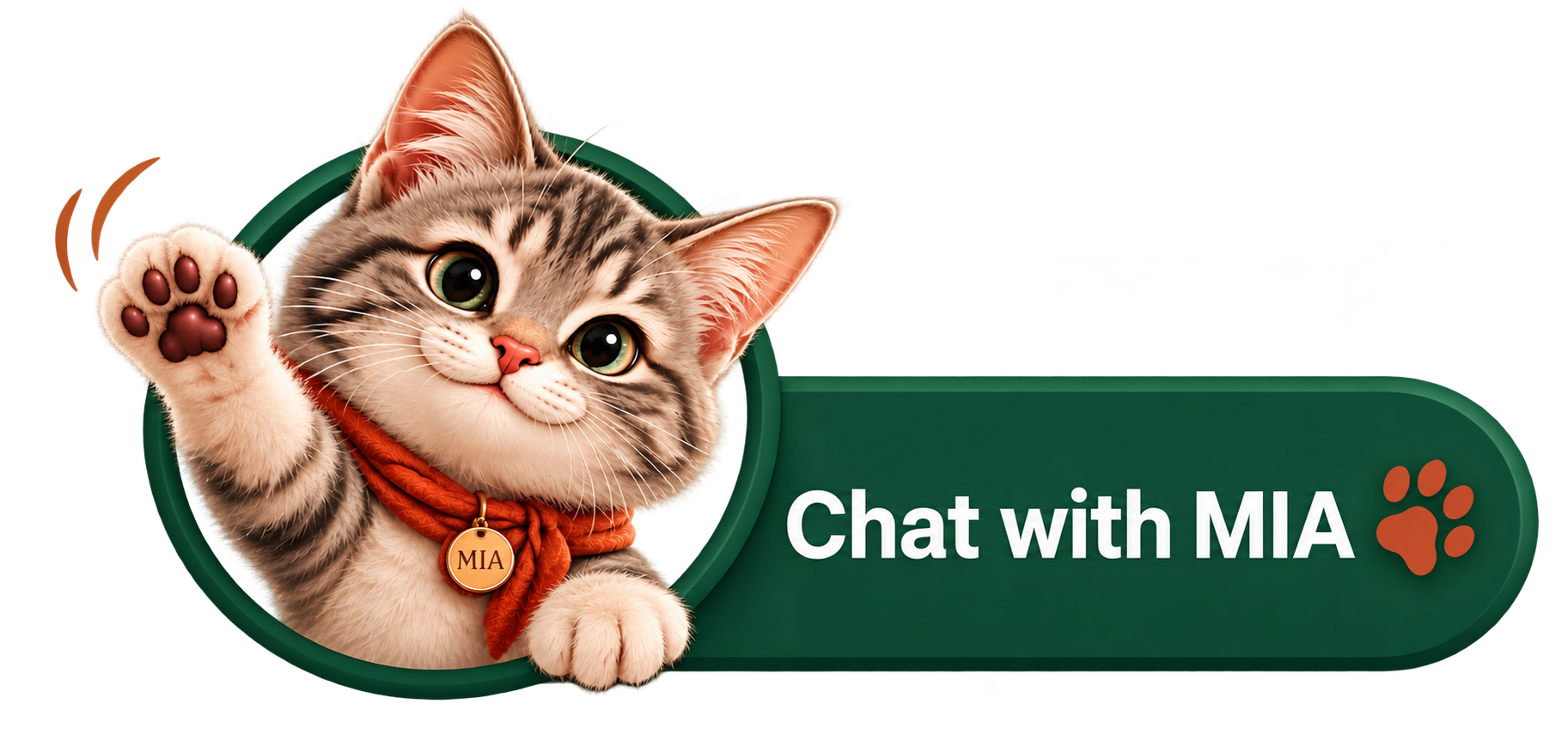Chat with MIA — la gattina ti saluta